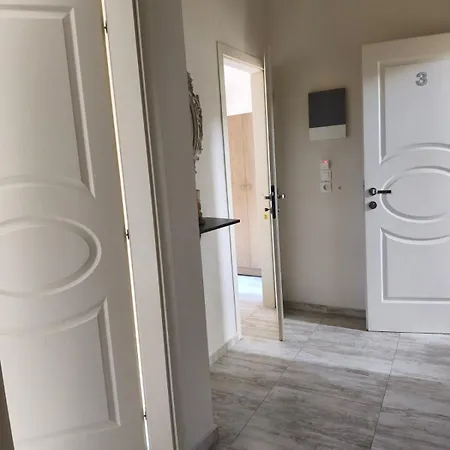 Andromachi's Leptokarya (Pieria)