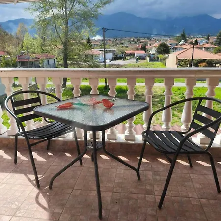 Andromachi's Daire Leptokarya (Pieria)