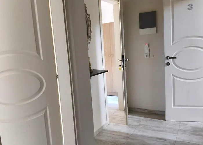 Andromachi's Leptokaryá